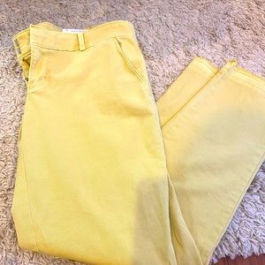 Size 4 NWT Loft girlfriend chinos